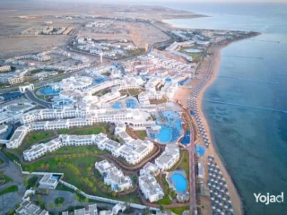 مطلوب علي وجه السرعة الحق الفرصة