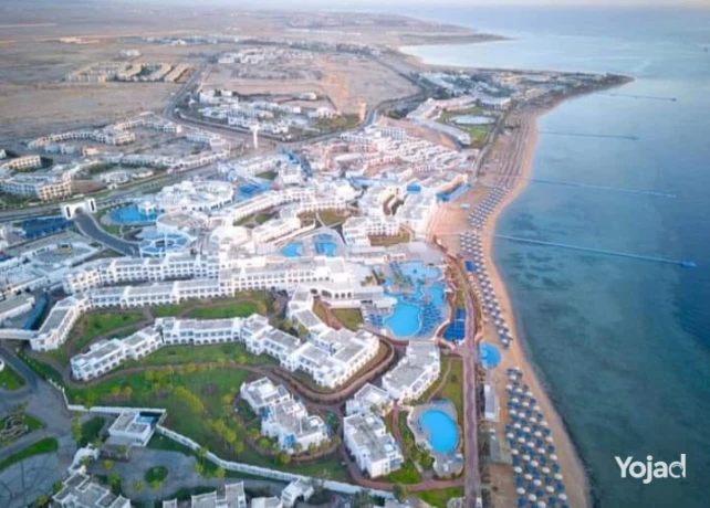 mtlob-aaly-ogh-alsraa-alhk-alfrs-big-0