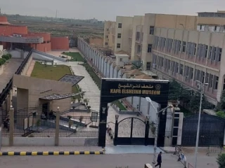 أستثمار أمام متحف و جامعة كفرالشيخ