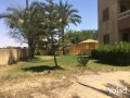 mzraa-kaml-355-fdan-mzroaaat-khyol-aagol-aakd-azrk31-sn-big-6