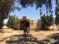 mzraa-kaml-355-fdan-mzroaaat-khyol-aagol-aakd-azrk31-sn-big-13