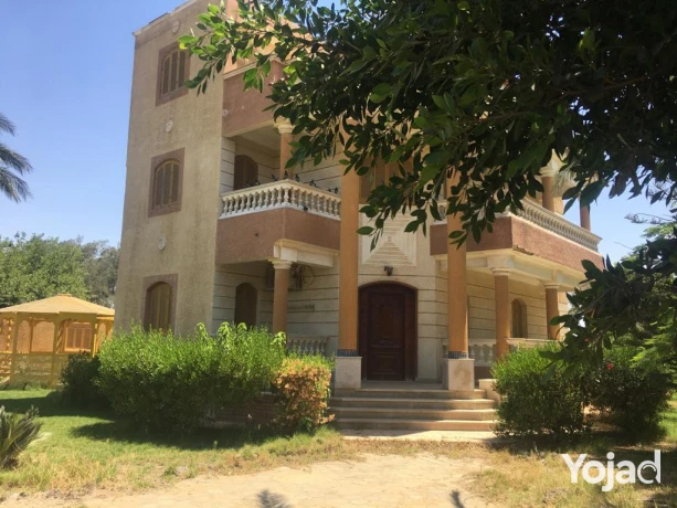 mzraa-kaml-355-fdan-mzroaaat-khyol-aagol-aakd-azrk31-sn-big-0