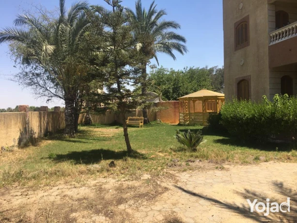 mzraa-kaml-355-fdan-mzroaaat-khyol-aagol-aakd-azrk31-sn-big-6