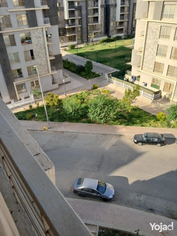 shkh-llbyaa-fy-dar-msr-alandls-2-big-0