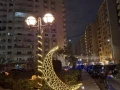 shkh-llbyaa-bh-alsfarat-bkmbond-alhyah-mdynh-nsr-code-t666-big-1
