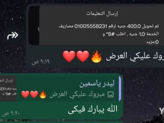 شغل كول سنتر