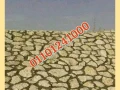 hoayt-dbsh-fy-mntk-gmaay-aaraby-lzom-mzaraa-omsanaa-big-10
