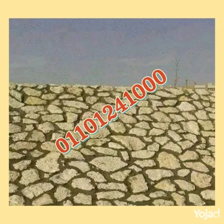 hoayt-dbsh-fy-mntk-gmaay-aaraby-lzom-mzaraa-omsanaa-big-10