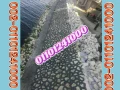 hoayt-dbsh-oasoar-dbsh-fy-gmaay-ahmd-aaraby-01092001780-toryd-o-big-7