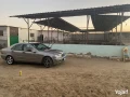 mzraah-llbyaa-big-7