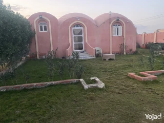 مزرعه للبيع