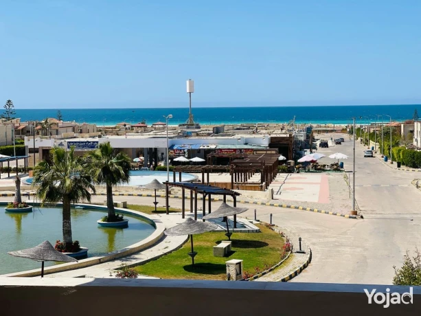 shalyh-llaygar-fy-kryh-alshrok-alsahl-alshmaly-k-41-big-3