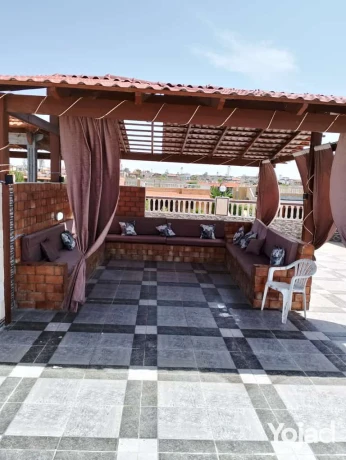 fyla-llaygar-fy-kryh-alshrok-alsahl-alshmaly-k-41-big-5