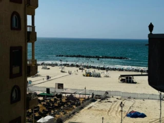 شقه للبيع الاسكندرية النخيل