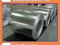 moasyr-hdyd-klyob-aalb-hdyd-klyob-zoaya-hdyd-klyob-01101-big-9