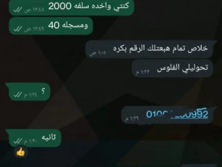 شغل اون لاين للطلبه والخرجين
