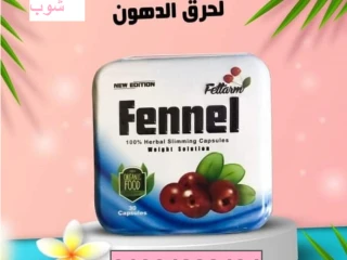 كبسولات فينيل للتخسيس من فيتارم الألمانية 30 قرص Fettarm F