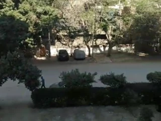 عقارات للايجار