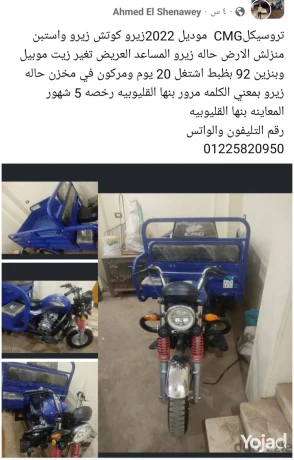 ahmed-elshenawy-big-4