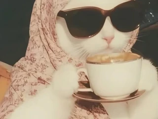 شغل اون لاين