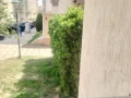 alhk-frs-aygar-shk-fy-al-b6-big-0