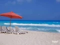 shalyh-lkth-llbyaa-fy-marsylya-bytsh-5-balkrb-mn-kry-foka-bay-big-0