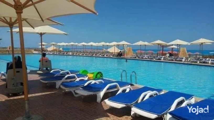shalyh-llbyaa-fy-marsylya-bytsh-5-fy-alsahl-alshmaly-big-5