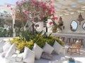 shalyh-lkth-astlam-for-fy-alaayn-alskhn-fy-kry-stella-di-mar-big-6