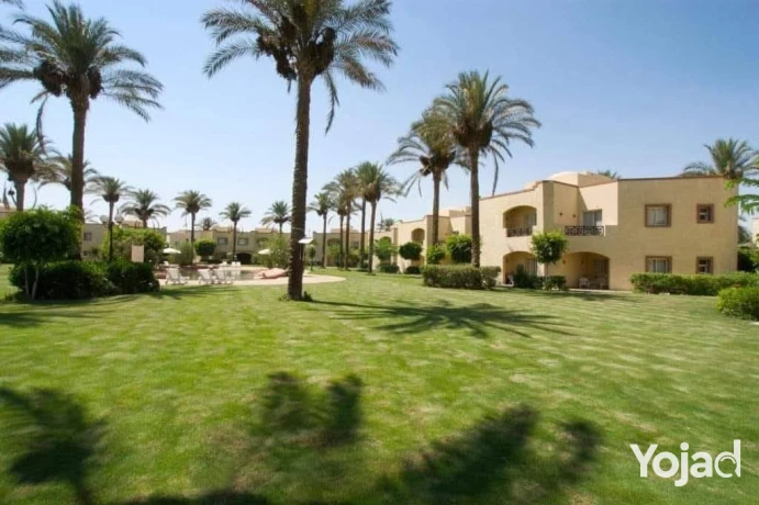 shalyh-lkth-astlam-for-fy-alaayn-alskhn-fy-kry-stella-di-mar-big-2
