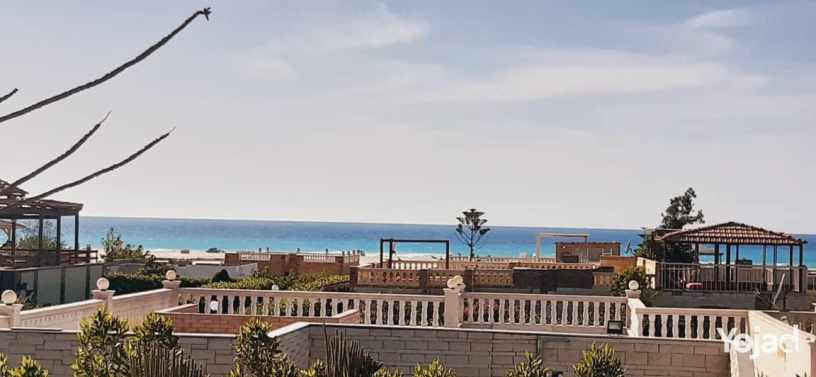 fyla-llbyaa-balsahl-alshmal-big-0