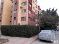 shkh-llbyaa-bkmond-byt-almsryh-hdayk-aktobr110mtr-big-4