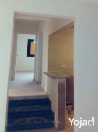 shkh-llbyaa-bkmond-byt-almsryh-hdayk-aktobr110mtr-big-1