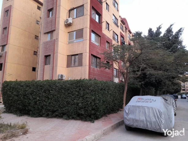 shkh-llbyaa-bkmond-byt-almsryh-hdayk-aktobr110mtr-big-4