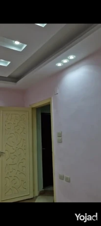frs-mmtaz-lashab-almsharyaa-shk-llaygar-altgary-fy-klb-big-0