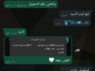 شغل اونلاين من البيت