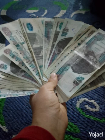 daaayh-oaaalan-okol-sntr-shlh-okman-othayf-shaghrh-big-0
