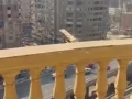shkh-llbyaa-almryotyh-hrm-big-7