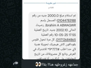 شركة RTI (هي شركة توريد عماله وهي فرع واحد في ج