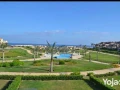 shalyh-lkth-astlam-for-mtshtb-fy-ras-alhkm-fy-lavista-bay-big-9