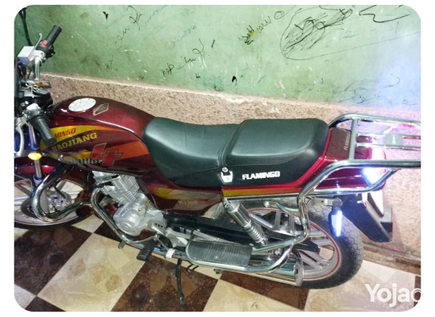 mknh-hogn-200flamngo-big-0