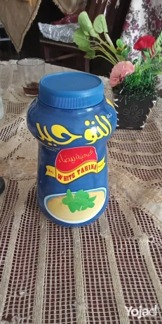 msnaa-altohyd-lthyn-oalhlao-big-0