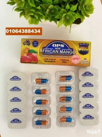 mango-afryky-ysaaadk-aal-fkdan-alozn-bshkl-faaal-oamn-big-0