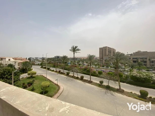 fyla-bfyo-mftoh-f-klb-alshykh-zayd-amam-arkan-blaza-big-2