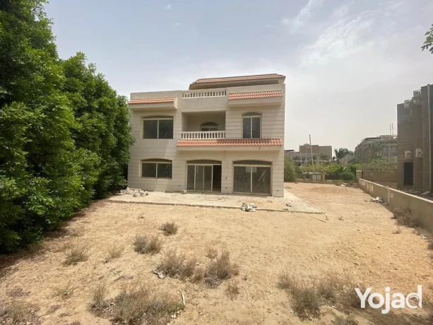 fyla-bfyo-mftoh-f-klb-alshykh-zayd-amam-arkan-blaza-big-4