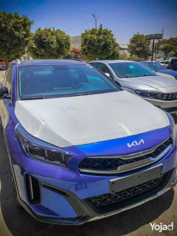 kia-exceed-topline-panorama-aaaly-fy-2025-big-0