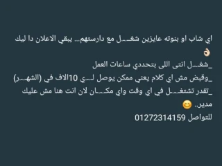 شغل توريد عماله