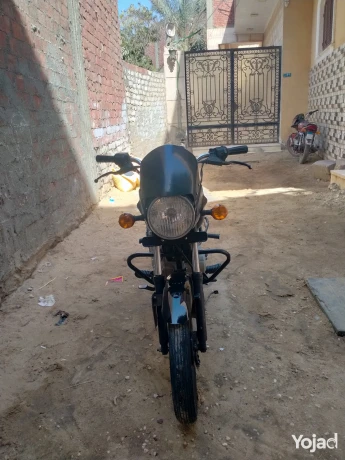mknh-boksr-150-big-0