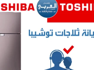 صيانة ثلاجات توشيبا فرع مصر الجديدة 01095999314