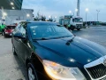 skoda-aoktafya-fantazya-2010-big-1