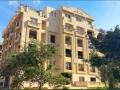 shkh-160-mtr-astlam-fory-llbyaa-fy-alashrfyh-fy-klb-altgmaa-big-1